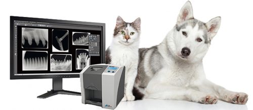 Digitales Dentaltröntgen cr7